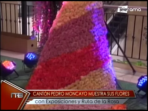 Cantón Pedro Moncayo muestra sus flores con exposiciones y Ruta de la Rosa