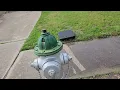 Submersible Pump 2 Rental from Home Depot 36 for 4 hours to drain a pool - Hose to street drain