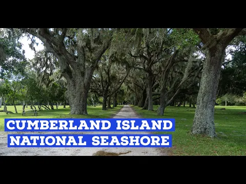 Guide to Cumberland Island National Seashore | Beach/Hiking/Horse/Biking/Camping/Historical Sites
