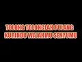 Download Lagu Tolong Tolonglah Pulang Kurindu (WAJAHMU) Senyuman (MANISMU) Yang (HILANG) Lirik Viral Tiktok