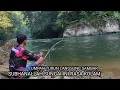 Download Lagu SUNGAI INI JARANG DI JAMAH PEMANCING ❗❗ MANCING IKAN BAUNG DI PEDALAMAN HUTAN KALIMANTAN