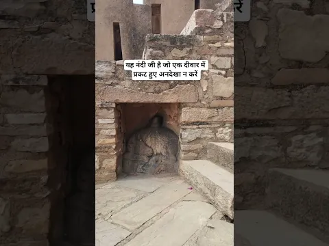 नंदी जी को अनदेखा न करें #mahadev #bholenath #shiva