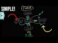 Master Go Programming With These Concurrency Patterns Part 2 in 40 minutes