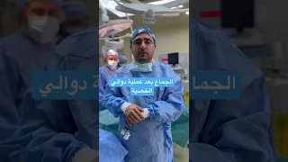 دوالي الخصية  دوالي الخصية  عقم الرجال   صفر حيوان منوي  عقم الرجال  بحث مجهري   دندنها