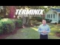 Spring Pest Tips
