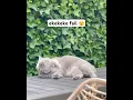 ekekeke fail 🫣