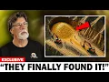 Download Lagu The Oak Island Treasure HAS FINALLY Been Found at Smith’s Cove!? Shocking New Discovery!