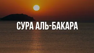 Сура Аль Бакара красивое чтение корана слушайте каждый день
