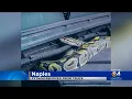 Python Removed From Under The Hood Of A Truck In Florida