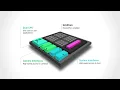 GrAI VIP the Fastest AI Processor at the Edge