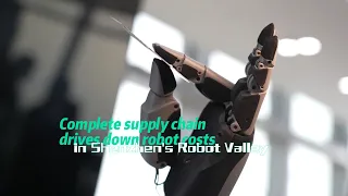 Complete supply chain drives down robot costs in Shenzhen's Robot Valley