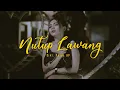 Download Lagu Nutup Lawang - Syahiba Saufa ( Official Music Video ANEKA SAFARI )