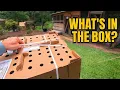 We Lost 47 Chickens So We Filled the Coop Back Up NEW Baby Chicks