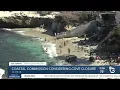 Should the City of San Diego close La Jolla Cove to protect wildlife