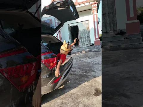 Cảm Biến Xe Bằng Chó 🚘#shorts