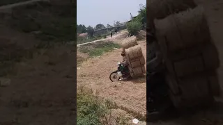 ماما أفريكا 