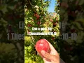 Download Lagu “probeer een rustig leven te leiden, je met je eigen zaken te bemoeien en met je eigen handen te ...