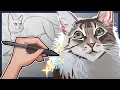 Learn to draw cats better