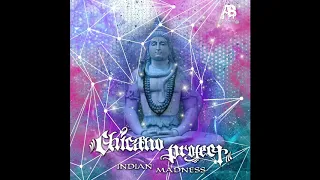 chicano project indian madness original mix 