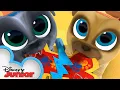 Happy Valentine s Day Puppy Dog Pals disneyjr