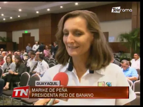 Gobierno busca potenciar más el sector bananero