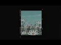 Download Lagu Cotton Vibe - Glamping (Lofi chill)