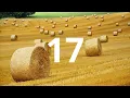 17 Second Countdown Timer With Alarm Sound At the End Simple Beep