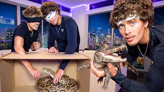 Reptiles ONLY What s In The Box Challenge HORRIBLE IDEA