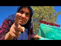 Download Lagu Don't tell anyone the secret of the land deed being leaked, or else...