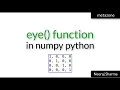 Vid 11 eye and identity functions in numpy python Neeraj Sharma