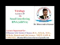 Download Lagu Virology - Small interfering RNA (siRNA)/SiRNA/RNA interference by Dr Dheerendra  Kumar