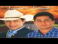 Download Lagu Leandro \u0026 Leonardo - Deu Medo