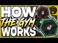 EVERYTHING You Want to Know About the Hideout Gym - Escape From Tarkov GUIDE