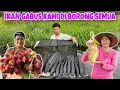 Lagu IKAN KAMI DI BORONG 6KG, LANJUT CARI BAJU ANAK, DAN PANEN CEMPEDAK, RAMBUTAN