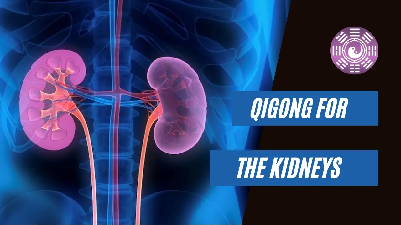 Outline Video Qigong to Nourish the Kidneys