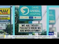 Battle of the boards Animal Hospital vs Tires Plus store in Pensacola