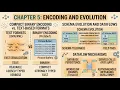 DDA - Ch 5 Encoding and Evolution