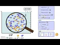 Model acid base PHET directions