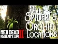 Red Dead Redemption 2 - All 10 Spider Orchid Locations Duchesses and Other Animals Exotics