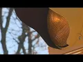 Mayor on Buffalo school zone speed cameras People are slowing down