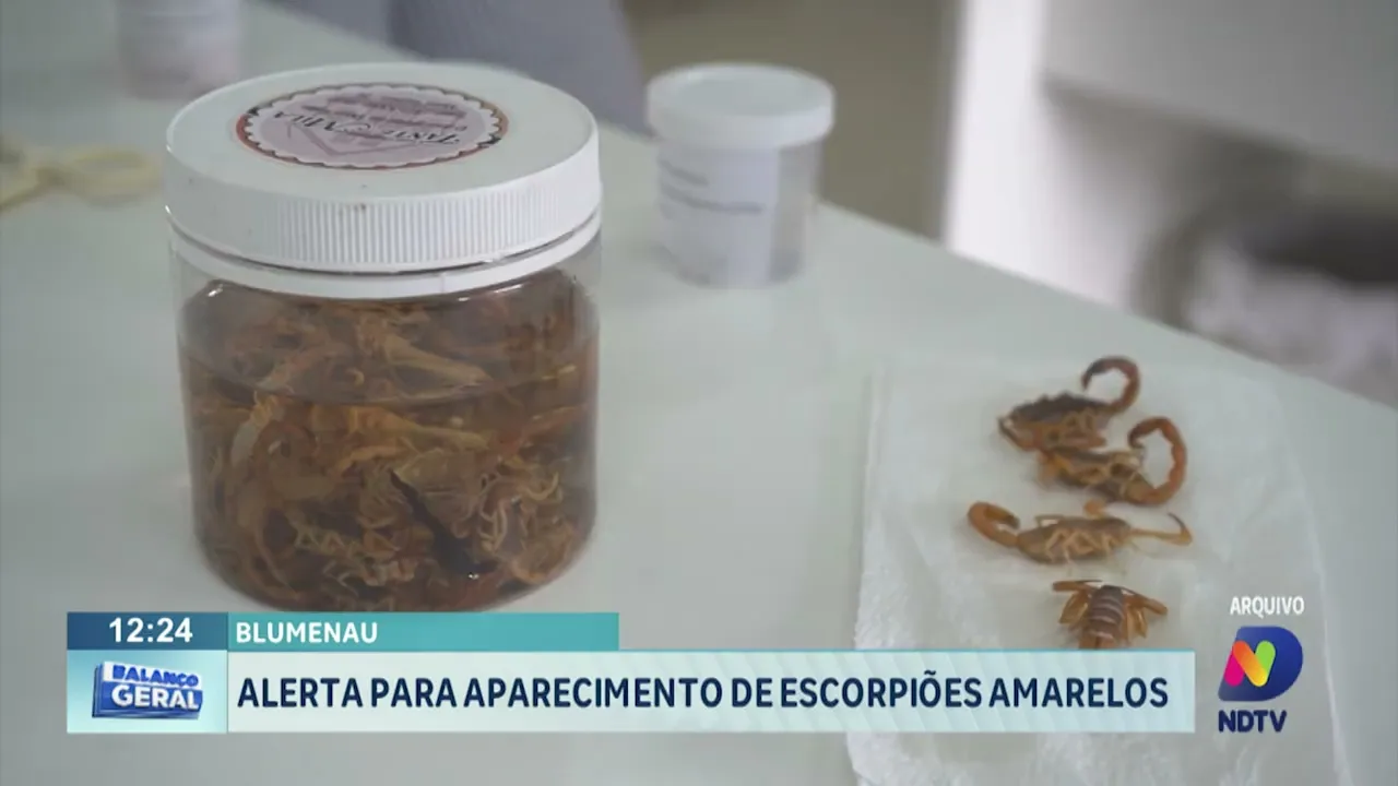 Prefeitura alerta para aparecimento de escorpiões amarelos