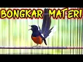 Download Lagu Pancingan PAGI HARI murai batu KONSLET bongkar isian SUKSES bikin EMOSI lawan langsung NYAUT