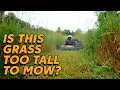 THIS FLAIL MOWER IS GONNA EAT