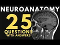 Neuroanatomy practice test 25 questions with answers and explanations