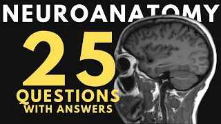 Neuroanatomy practice test 25 questions with answers and explanations