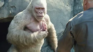  hindi george kill bear scene rampage 2018 movie clip 