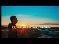 Red Comet \u0026 Nocturnum ft. Q'AILA - The Surface (lirik)