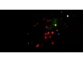 UMMS scientists develop CRISPRainbow system