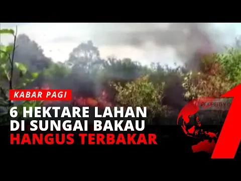 6 Hektar Lahan Kosong di Kotawaringin Barat Terbakar