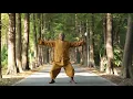 Download Lagu Shaolinsi Yijinjing (Shi Yan Hui shifu) correct))